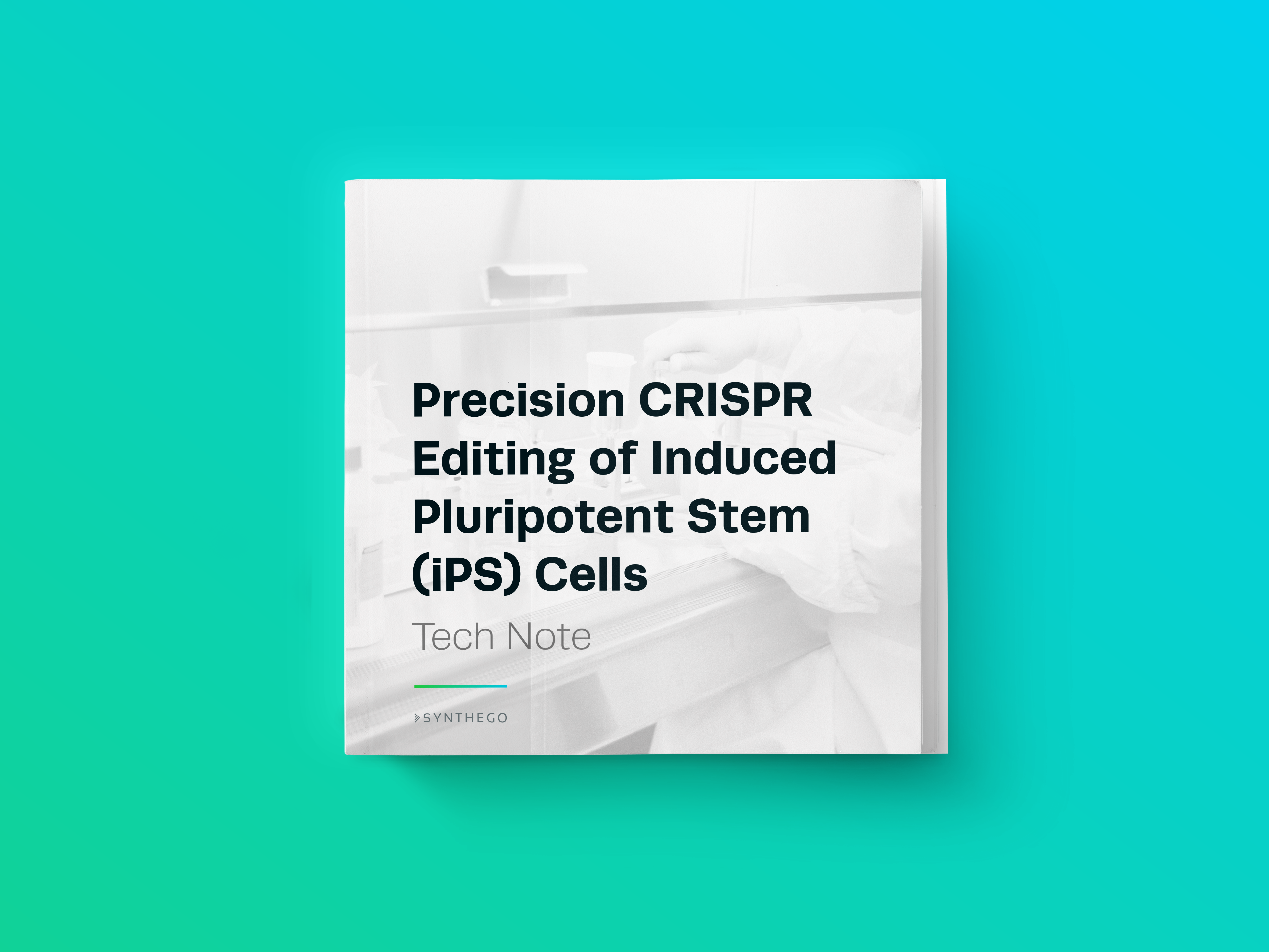 SynthegoSupplied iPS Cell Lines Information